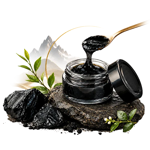 Pure Shilajit Slide Photo